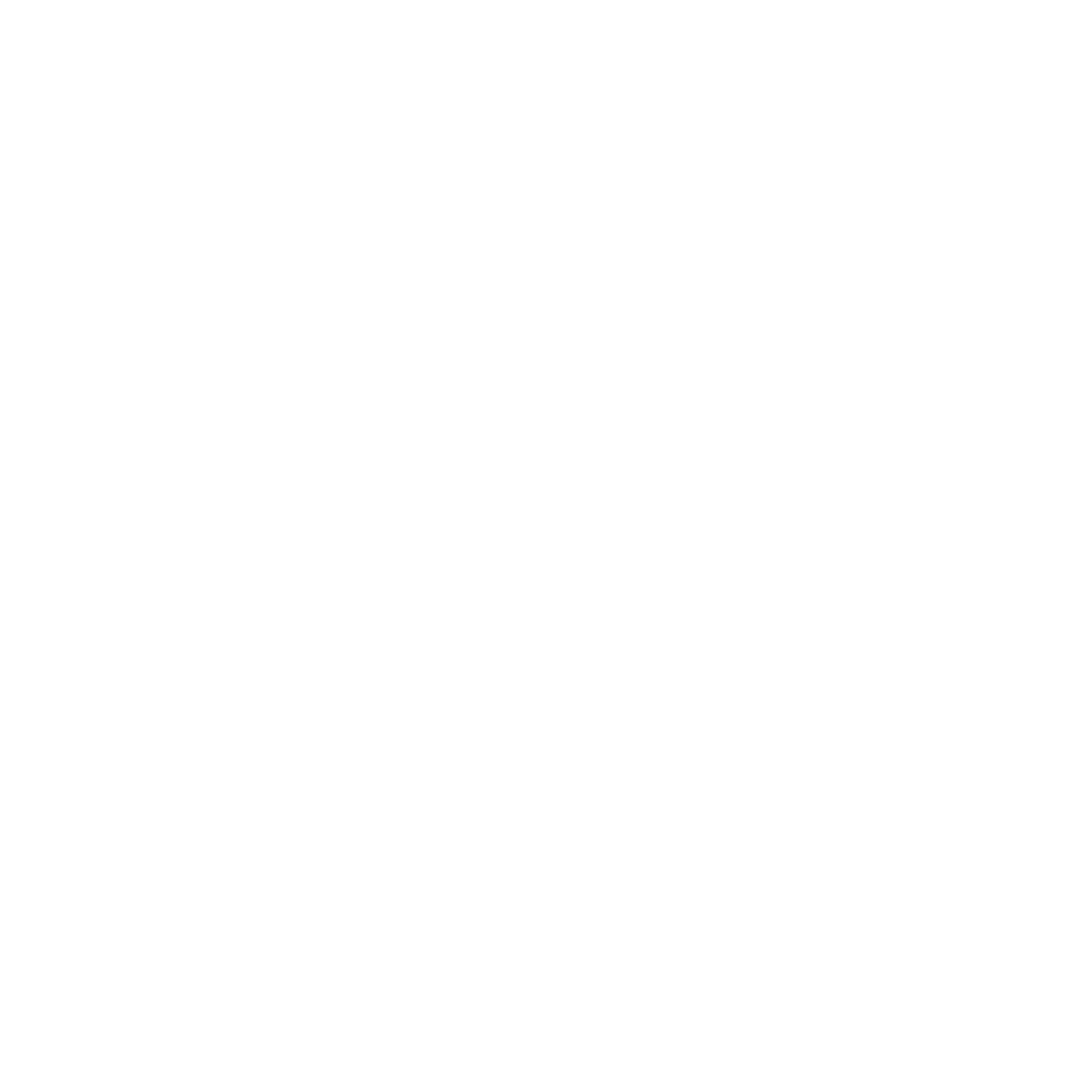Riley Phinisi Logo