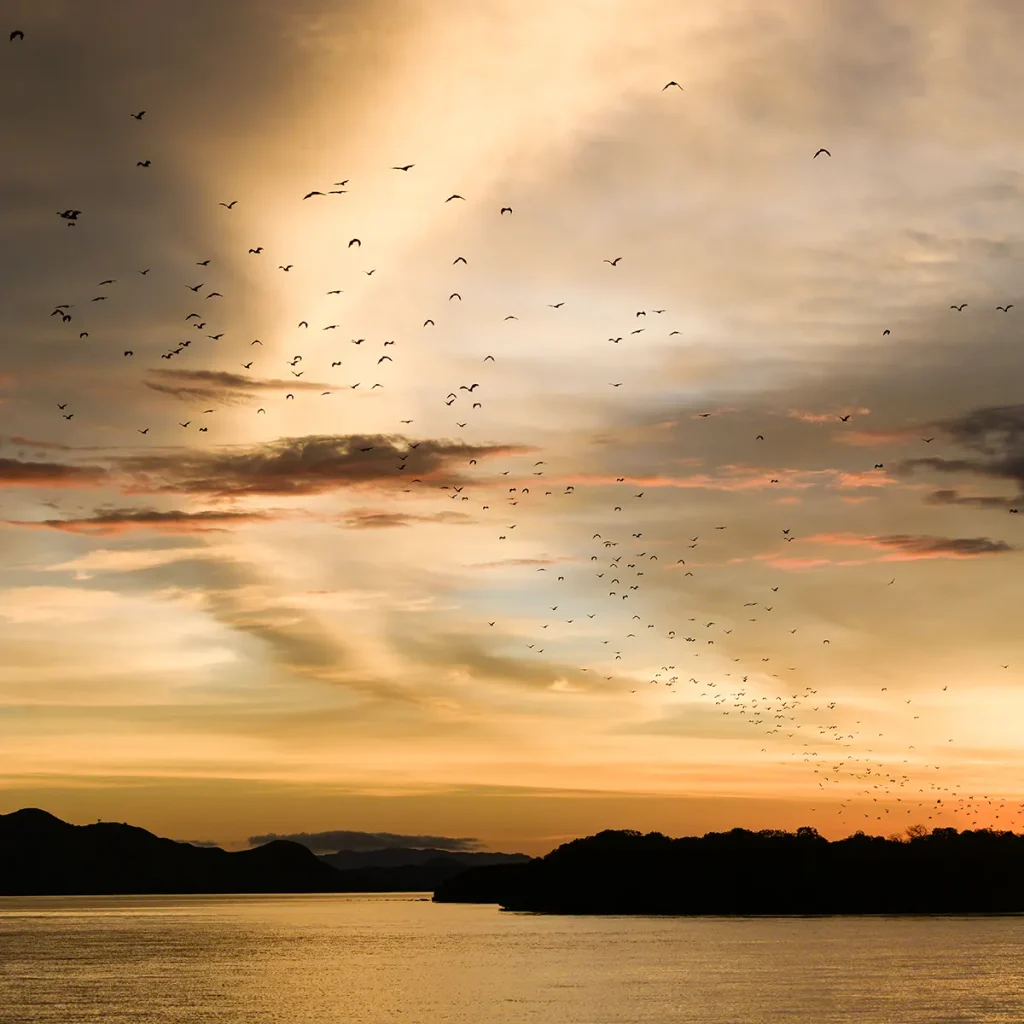 Booking a Komodo Phinisi for 2027: Riley’s Season, Cabin & Route Guide