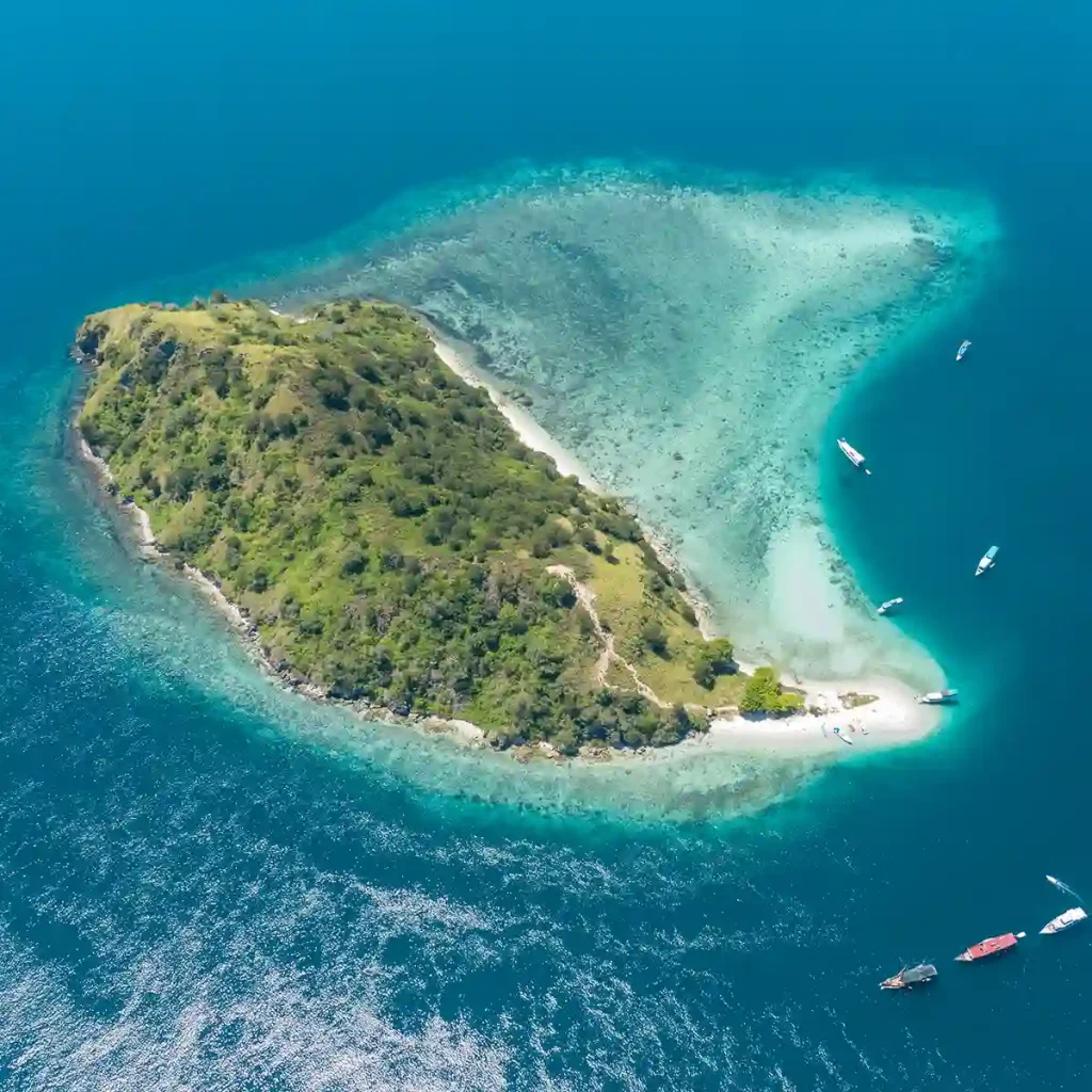 Riley Phinisi Liveaboard vs Komodo Resort + Day Trips