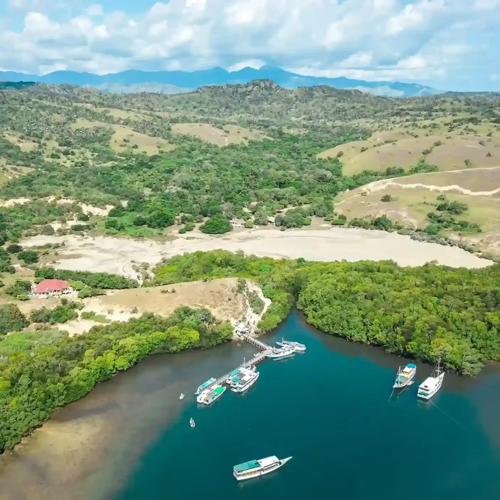 Komodo Island Safety Tips 2027: How to Stay Safe Around Dragons, Boats, and Marine Conditions