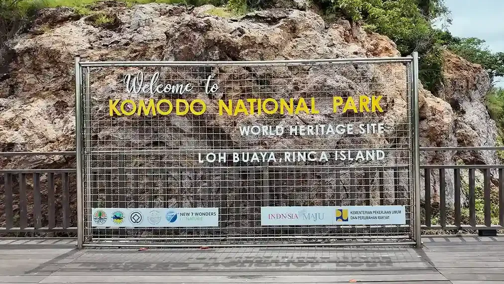 Komodo Island vs. Rinca Island 2027: Which Is Better for Seeing Dragons and Snorkeling?