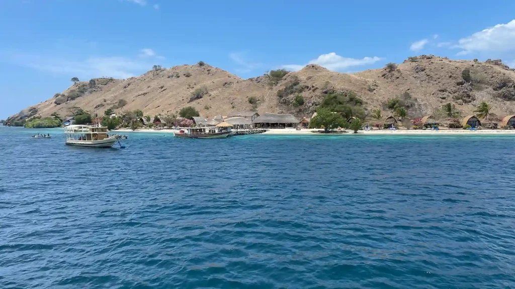 Riley Phinisi Snorkeling: Best Spots in Komodo Park